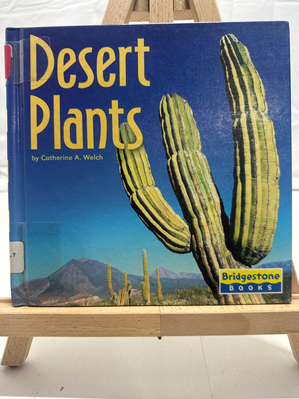 Desert Plants (Life in the World's Biomes) by Catherine A. Welch Hardcover
