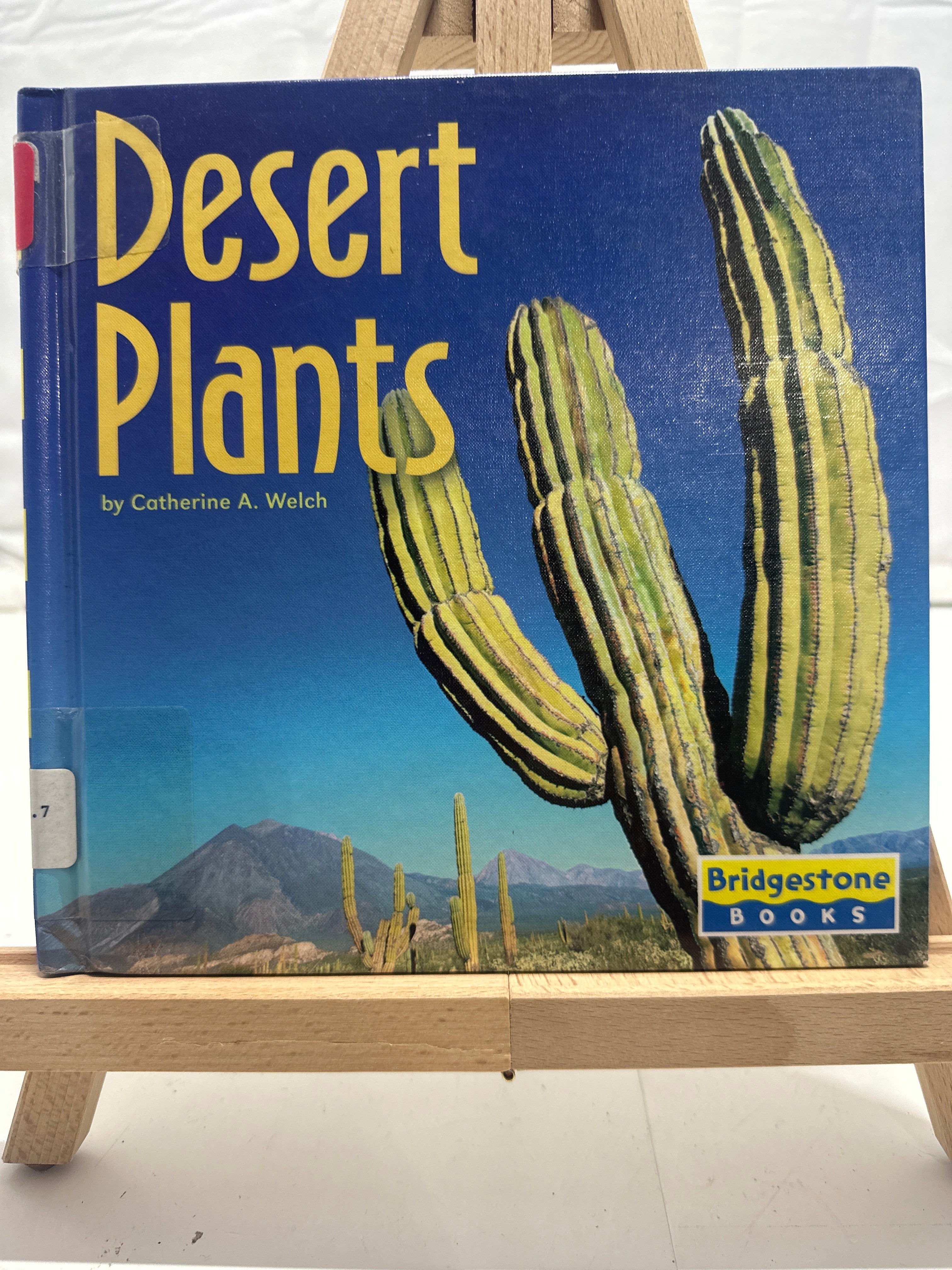 Desert Plants (Life in the World's Biomes) by Catherine A. Welch Hardcover