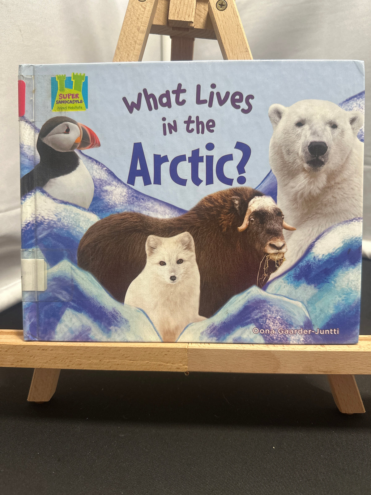 What lives in the Arctic? by Oona Gaarder-Juntti Hardcover Children's Book