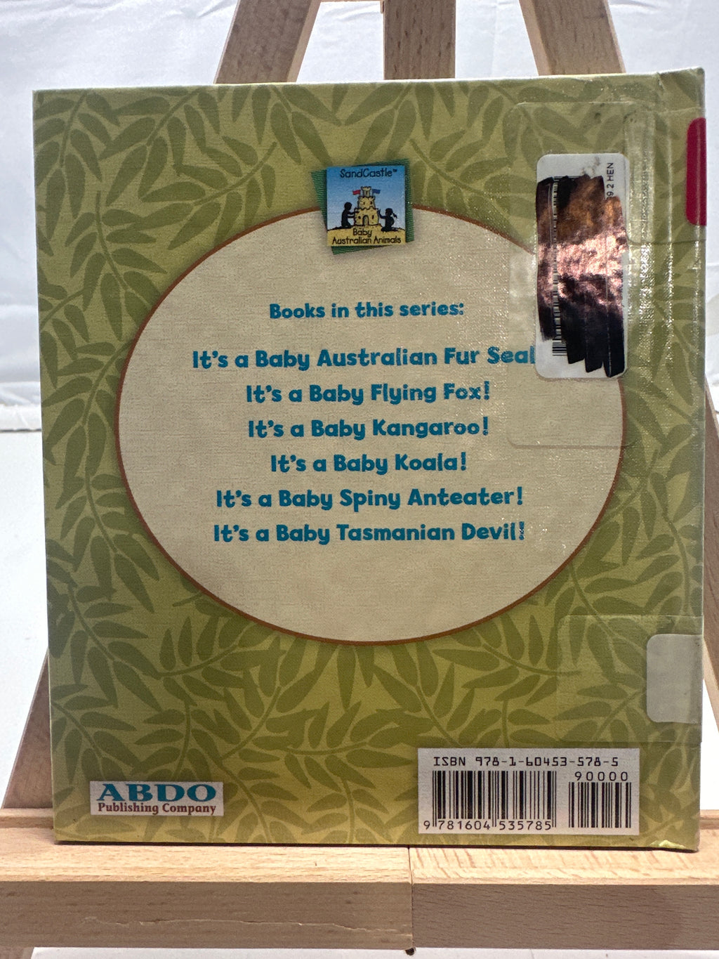 It's a baby spiny anteater! by Katherine Hengel Hardcover Children's Book
