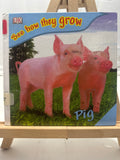 Pig by DK Publishing Hardcover