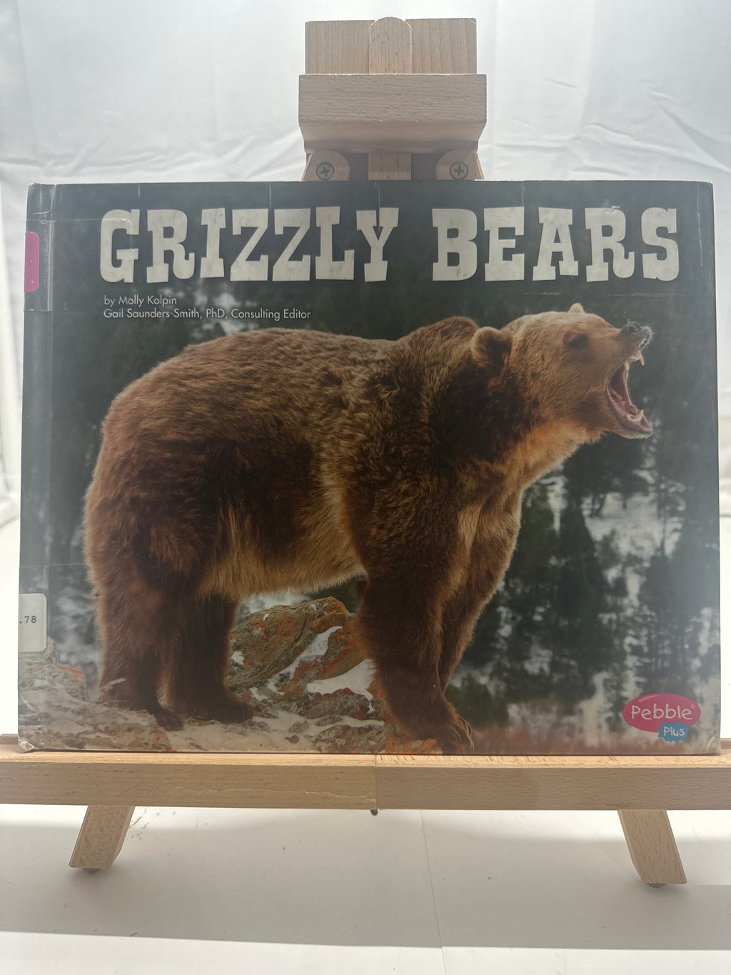 Grizzly Bears by Molly Kolpin Hardcover
