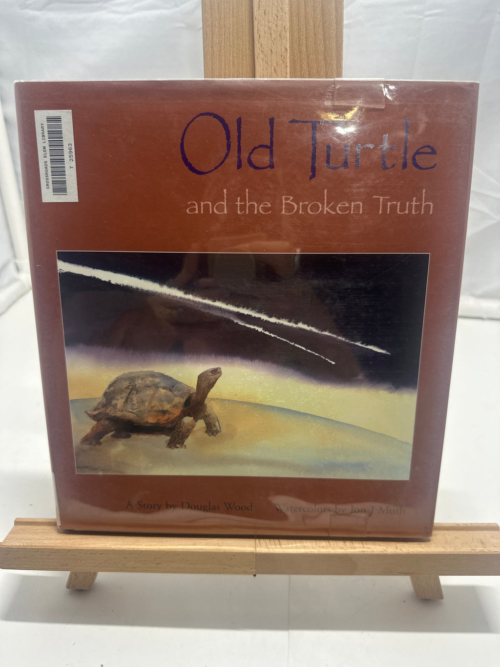 Old Turtle and the Broken Truth by Douglas Wood Hardcover