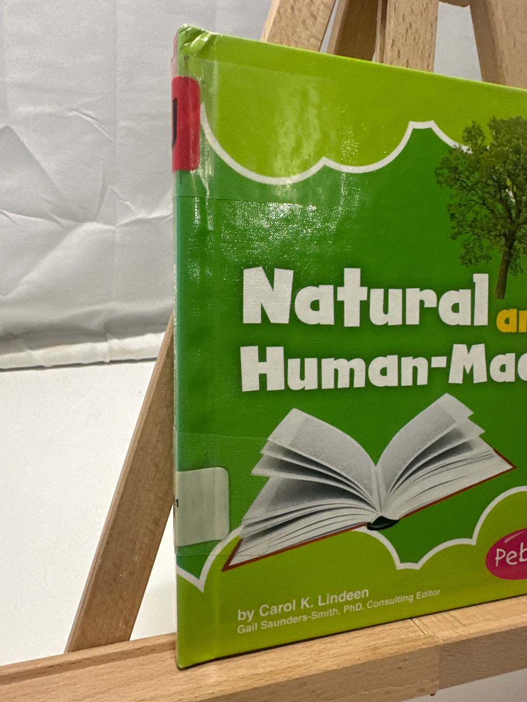 Natural and Human-made by Carol K. Lindeen Hardcover
