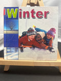 Winter (Bridgestone Science Library) by Terri DeGezelle Hardcover