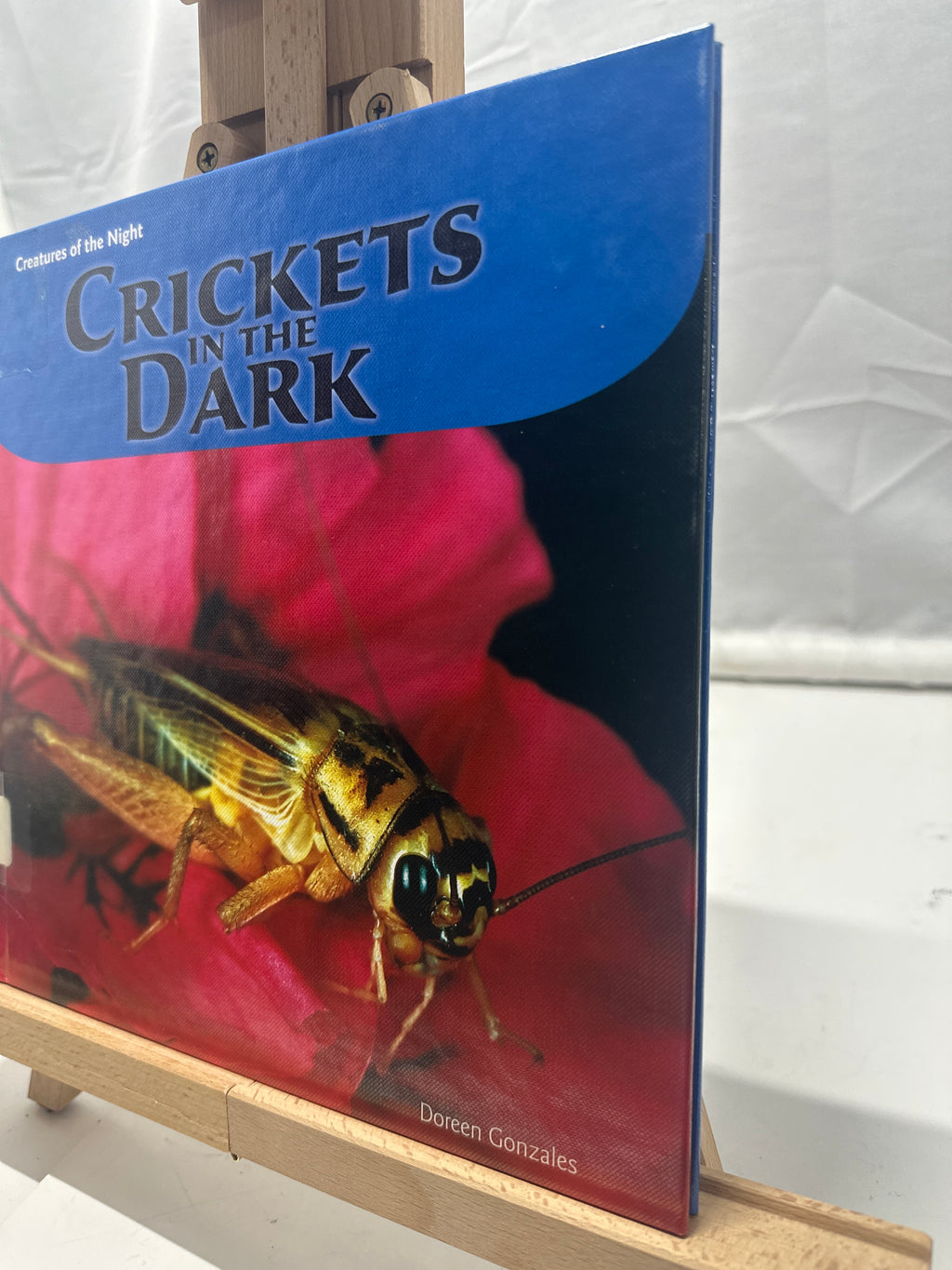 Crickets in the Dark by Doreen Gonzales Hardcover