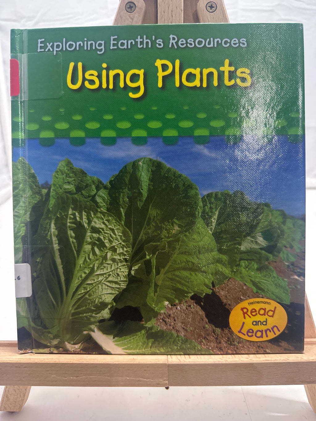 Using Plants by Sharon Katz Cooper Hardcover