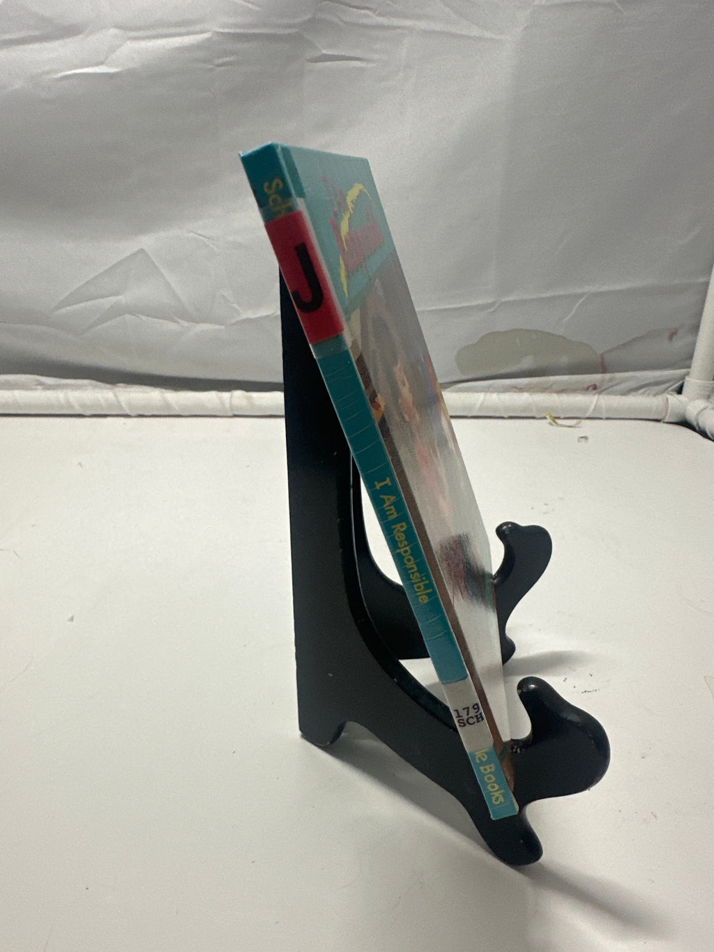 I Am Responsible Hardcover