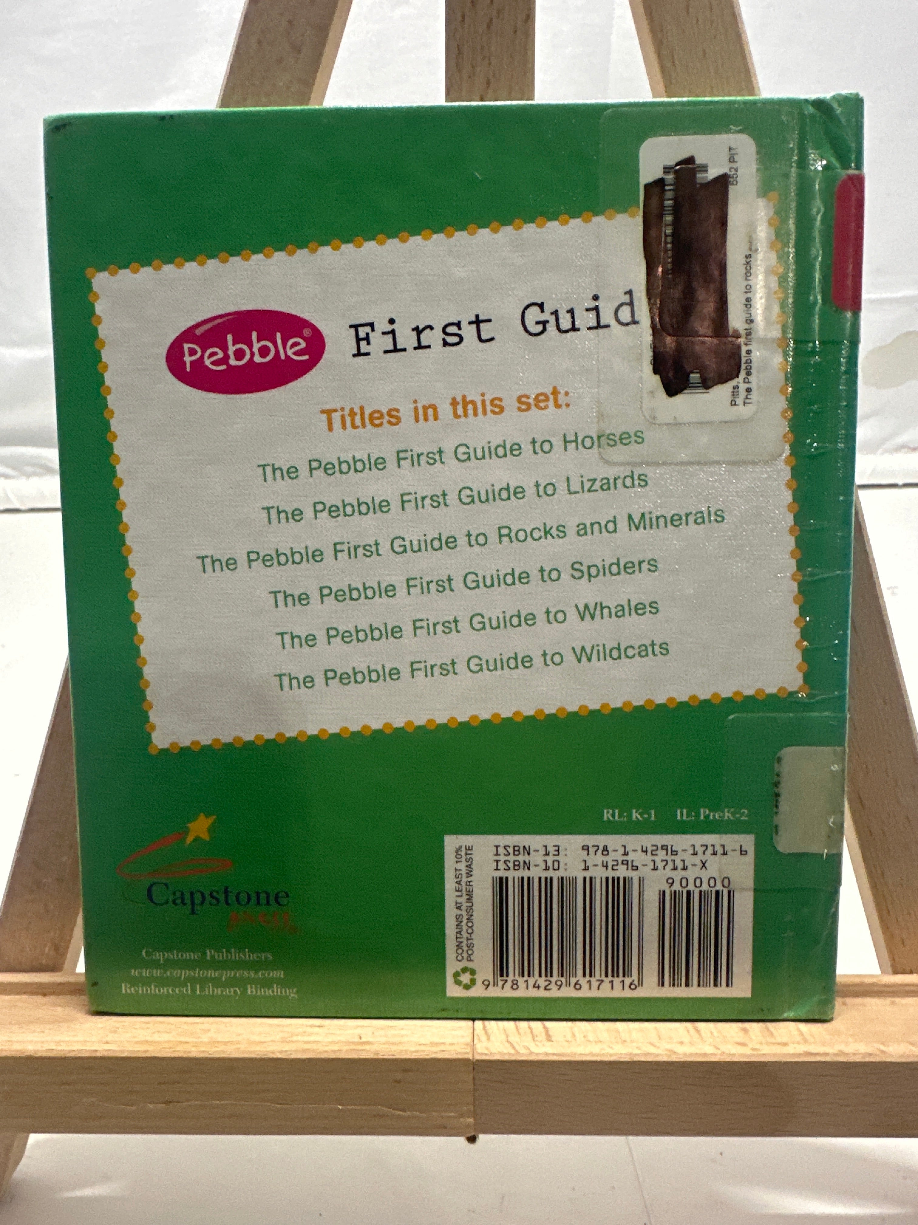 The Pebble first guide to rocks and minerals by Zachary Pitts Hardcover Children