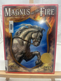 Magnus at the Fire by Jennifer Armstrong Hardcover