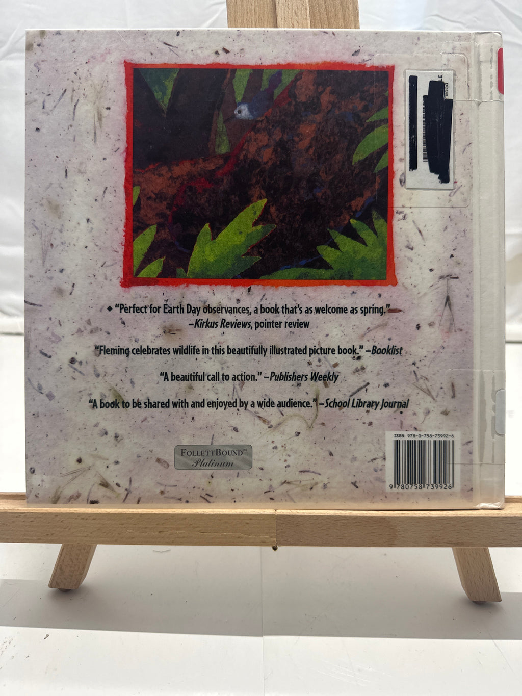 Where Once There Was a Wood by Denise Fleming Hardcover