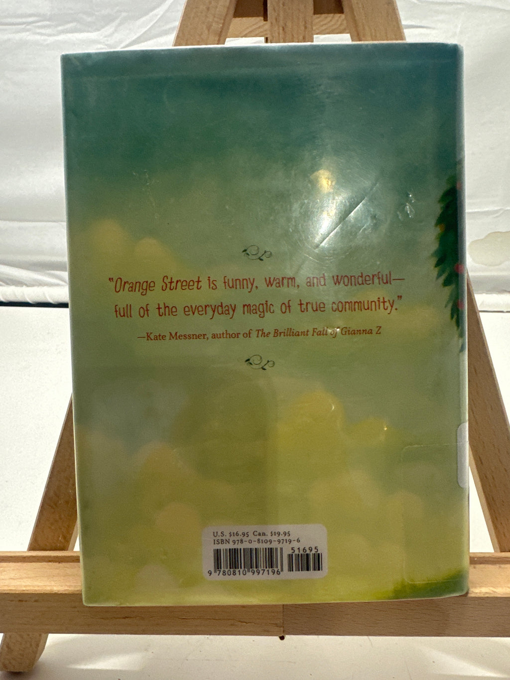 One Day and One Amazing Morning on Orange Street by Joanne Rocklin Hardcover