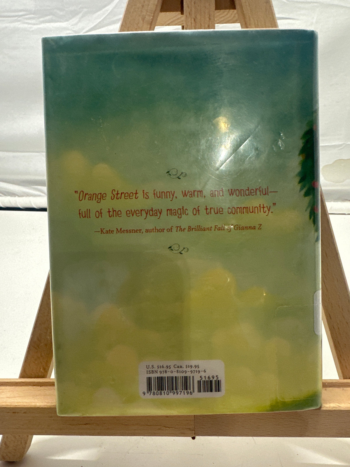 One Day and One Amazing Morning on Orange Street by Joanne Rocklin Hardcover
