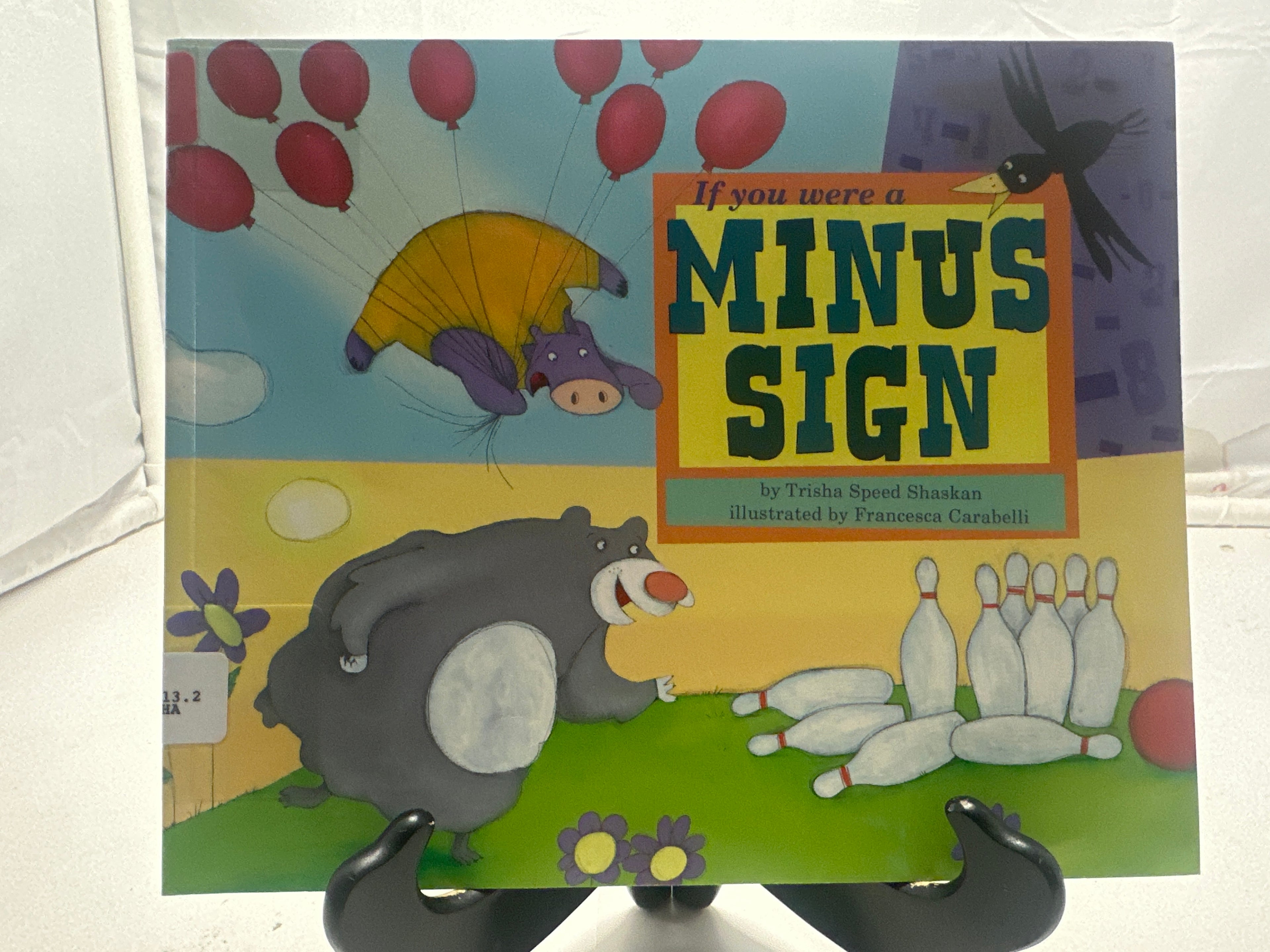 If You Were A Minus Sign Paperback