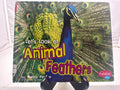 Let's Look at Animal Feathers by Wendy Perkins Hardcover