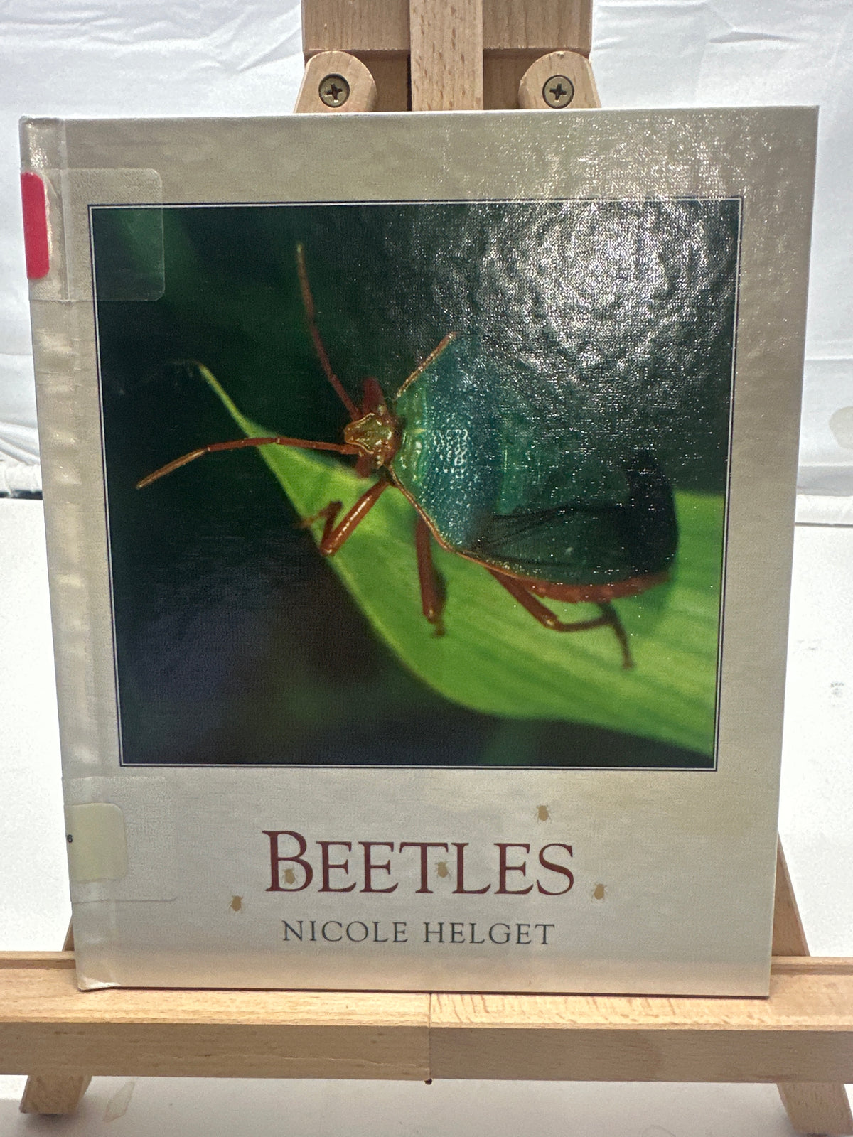 Beetles by Nicole Helget Hardcover