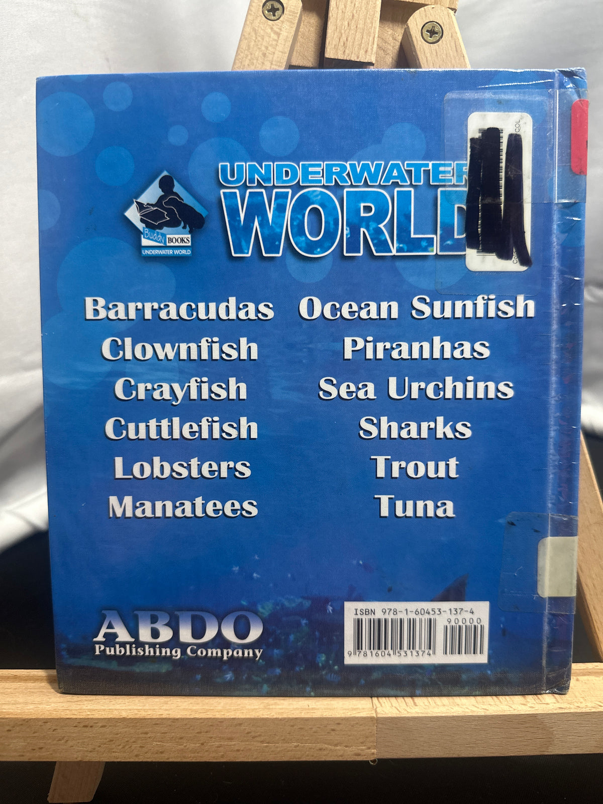 Sea urchins by Deborah Coldiron Hardcover Children's Book