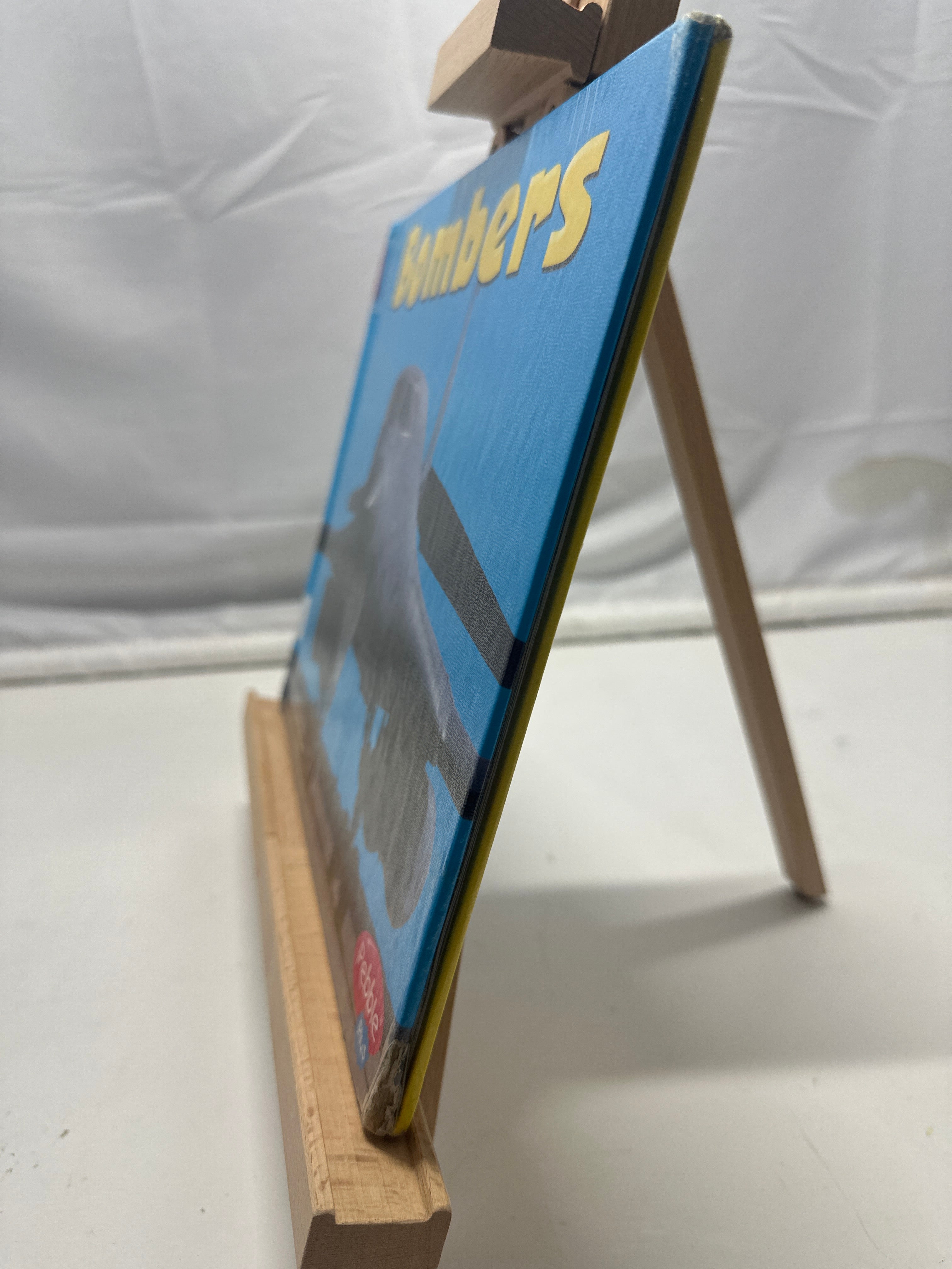 Bombers by Jennifer Reed Hardcover