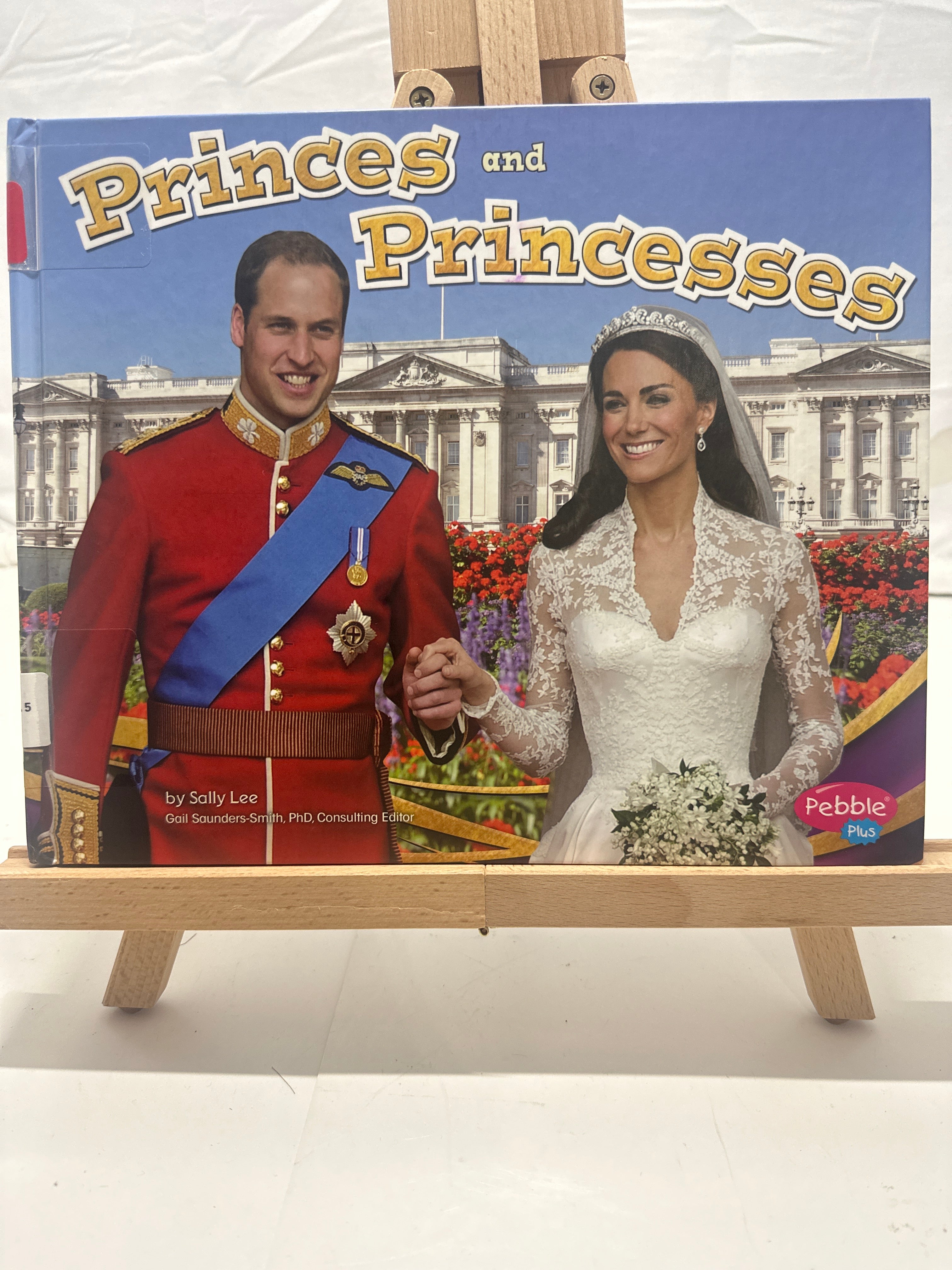 Princes and princesses by Sally Lee Hardcover