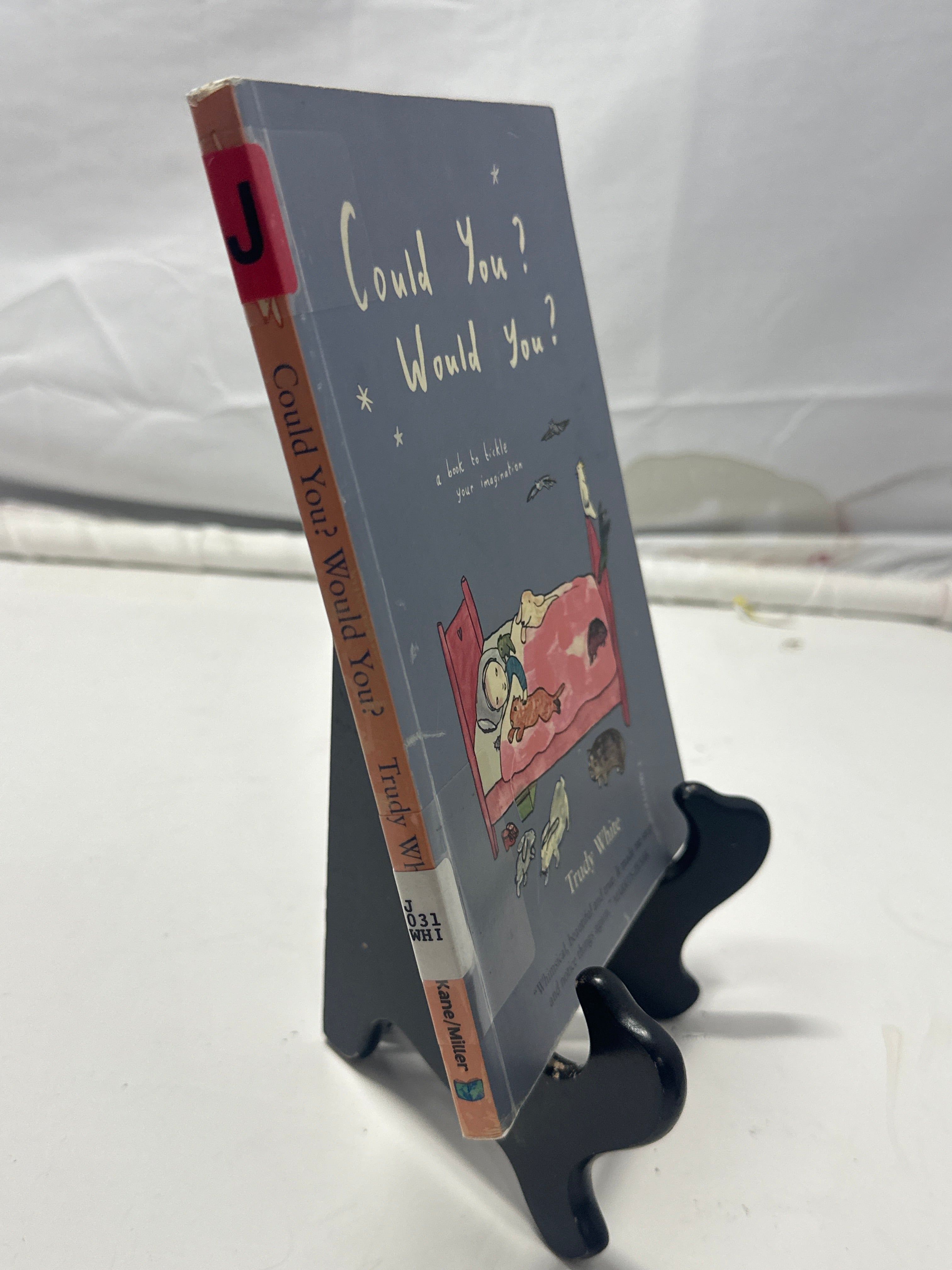 Could You? Would You? by Trudy White Hardcover