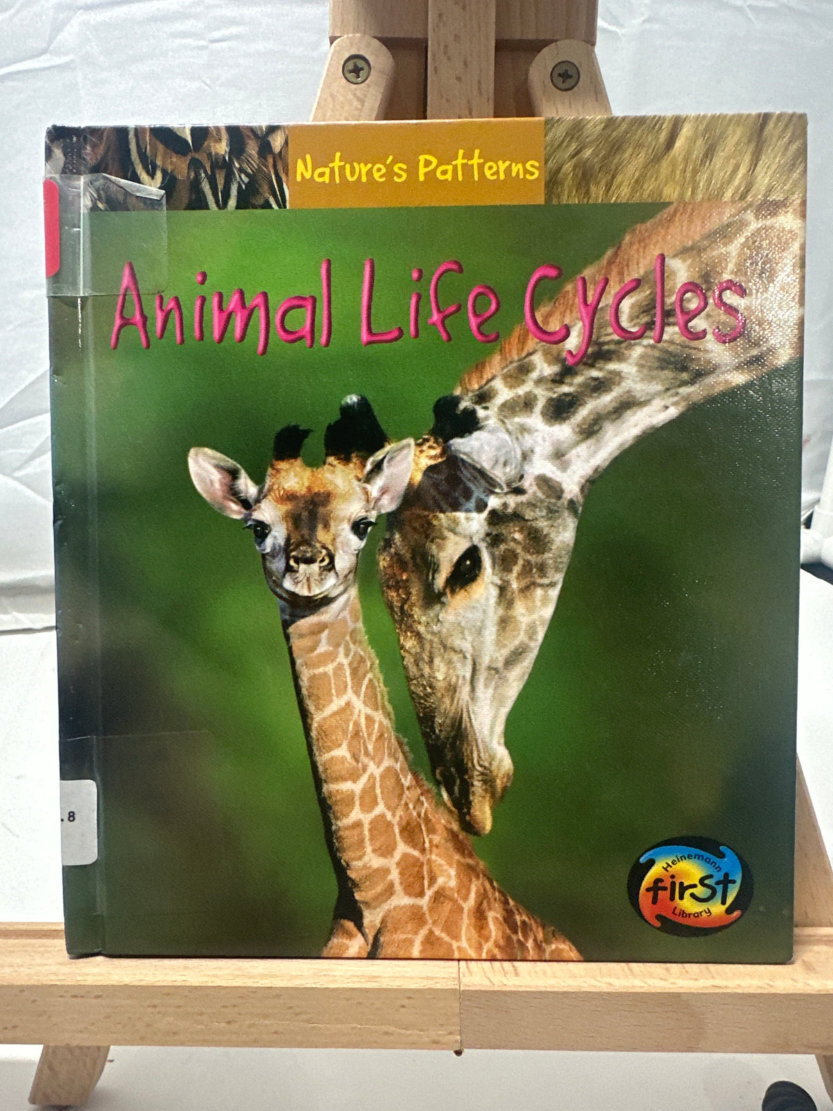 Animal Life Cycles by Anita Ganeri Hardcover