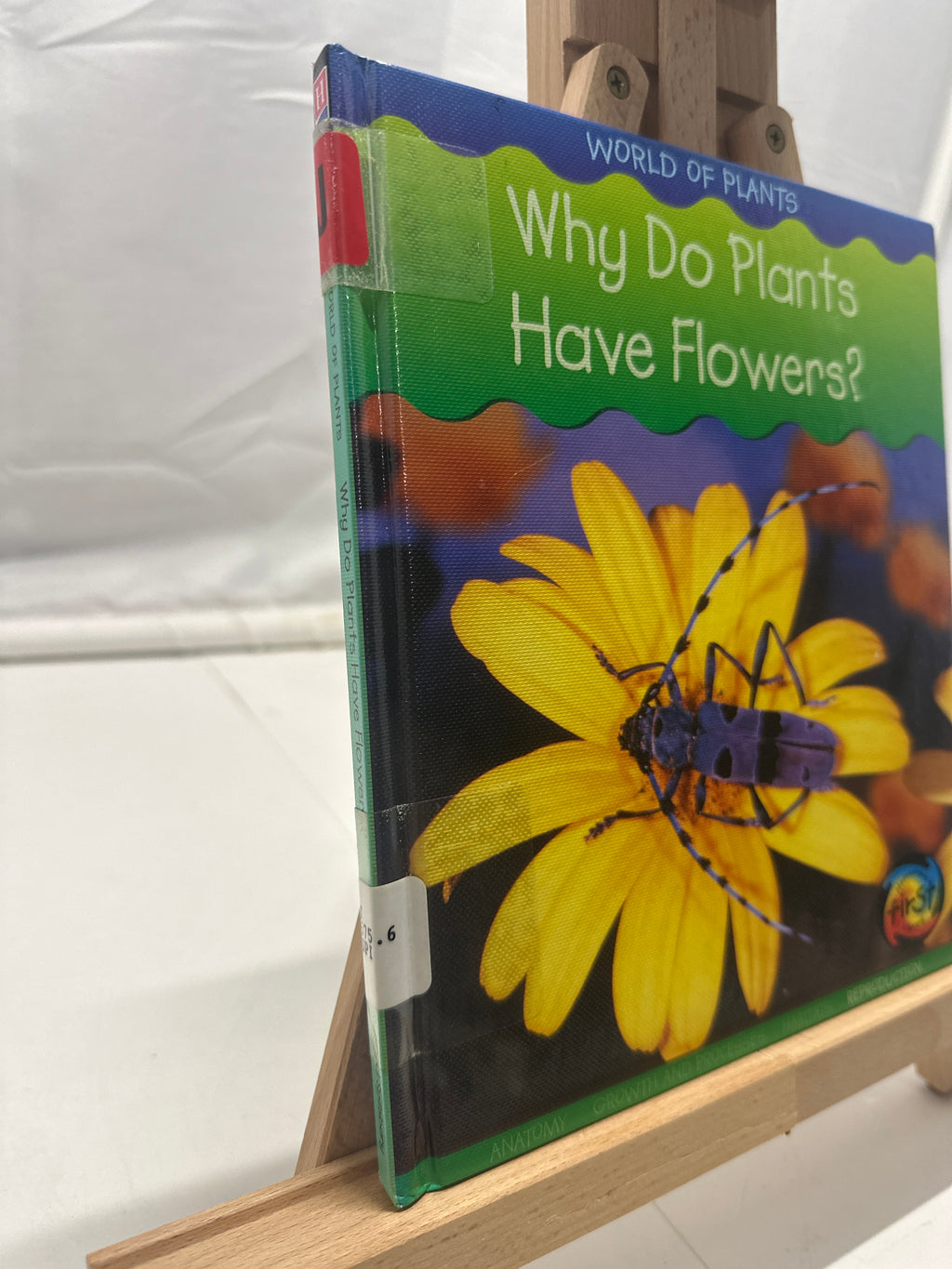 Why Do Plants Have Flowers? by Louise Spilsbury Hardcover