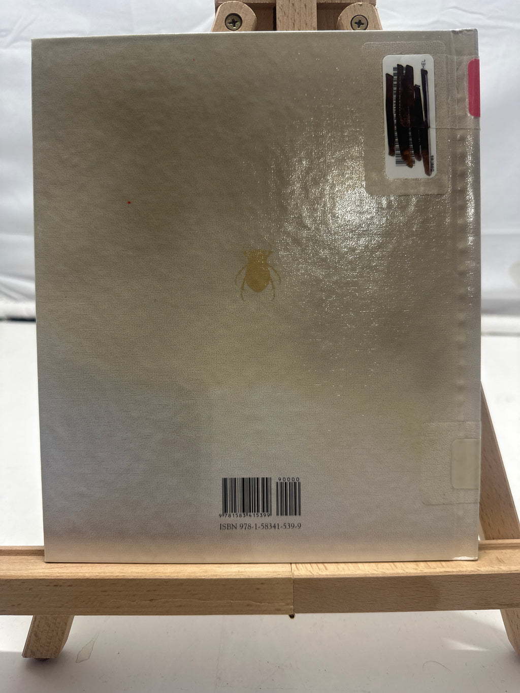 Beetles by Nicole Helget Hardcover