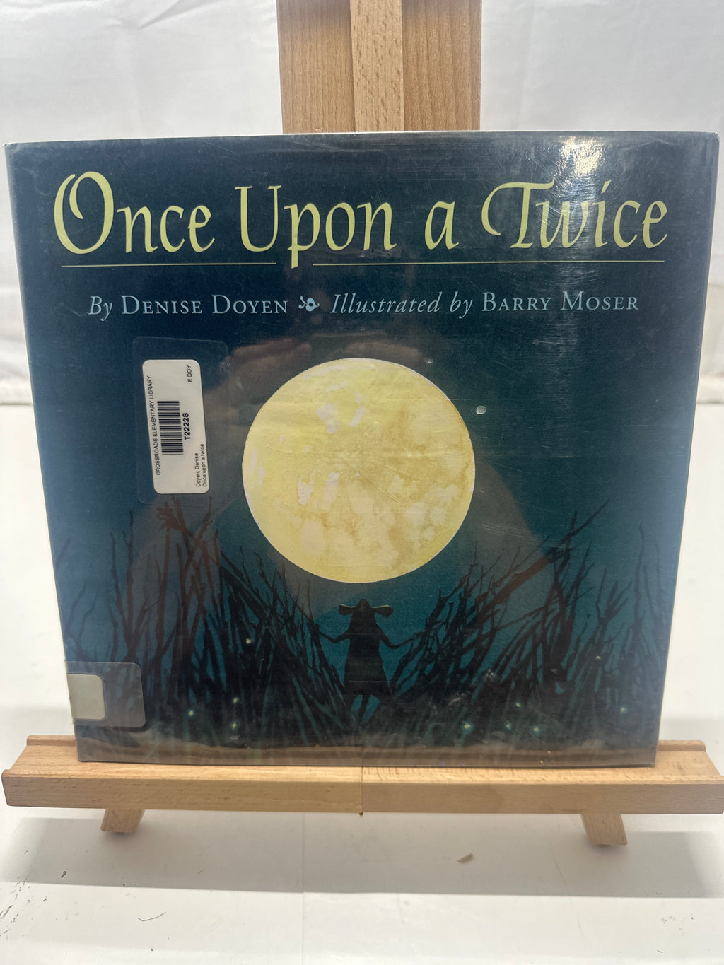 Once Upon a Twice by Denise Doyen Hardcover