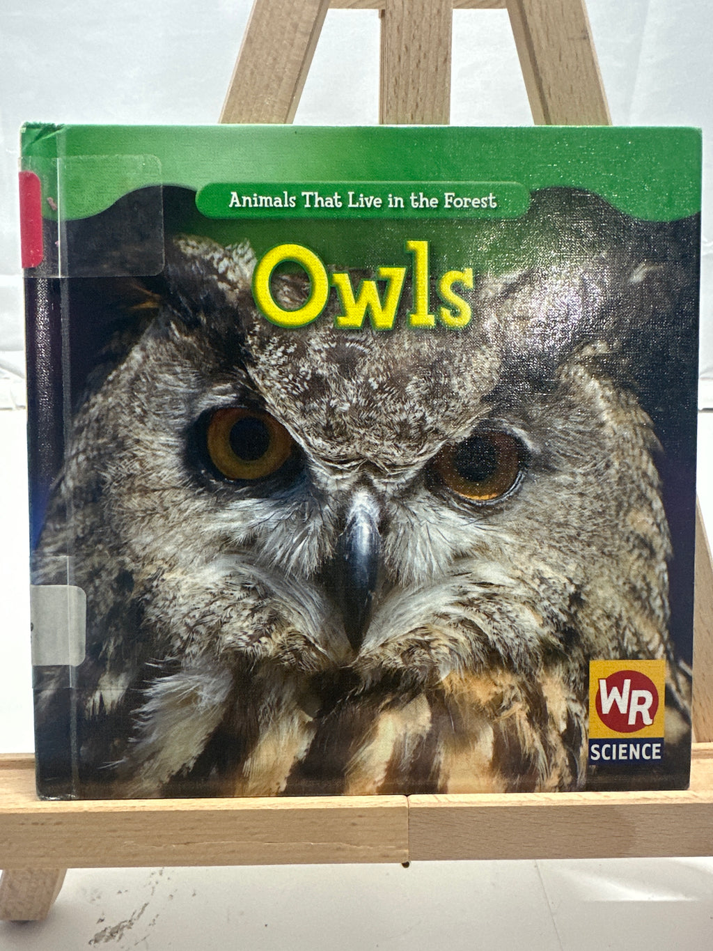 Owls by JoAnn Early Macken Hardcover Children's Book