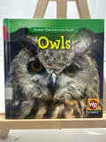Owls by JoAnn Early Macken Hardcover Children's Book