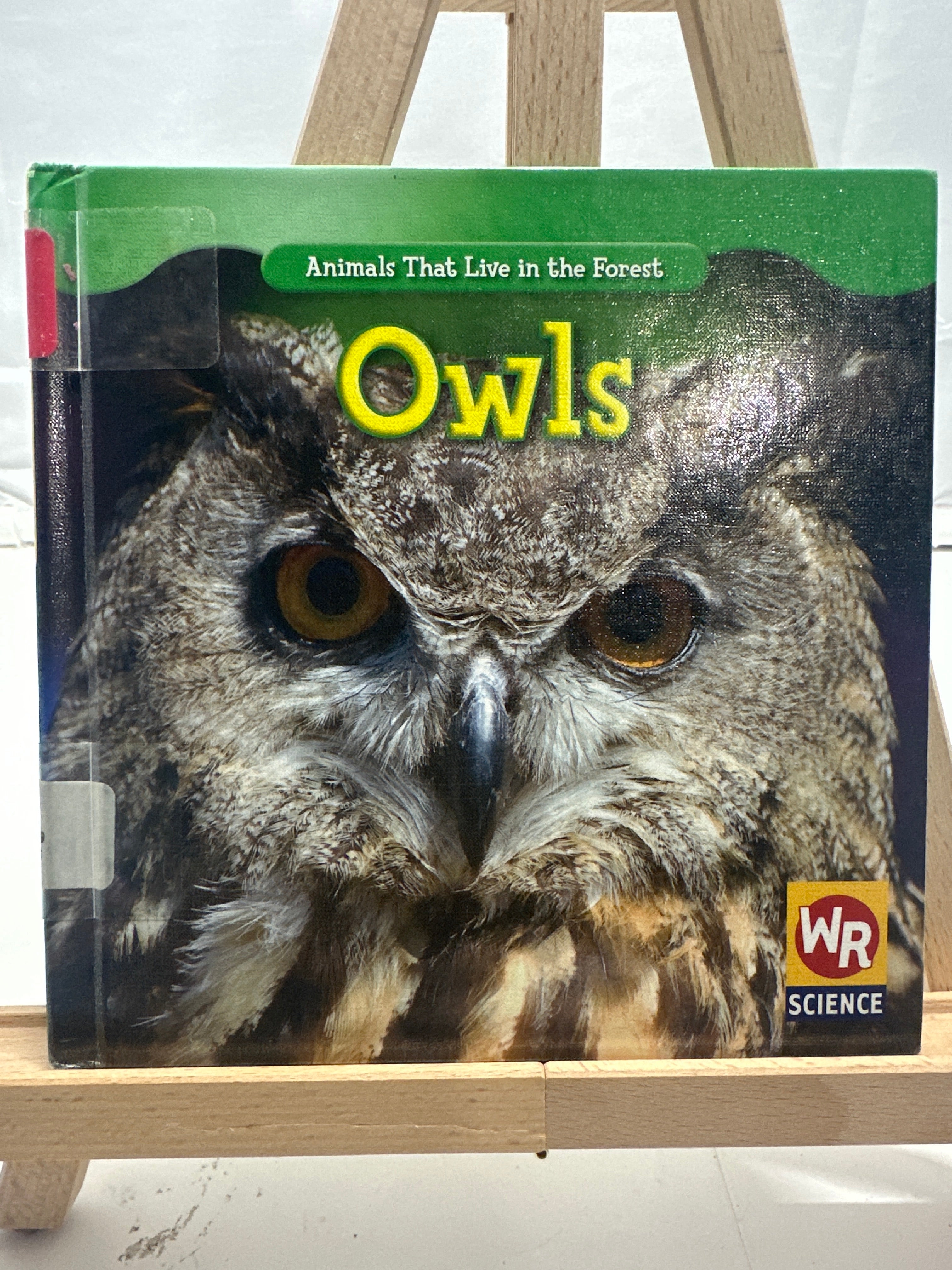 Owls by JoAnn Early Macken Hardcover Children's Book