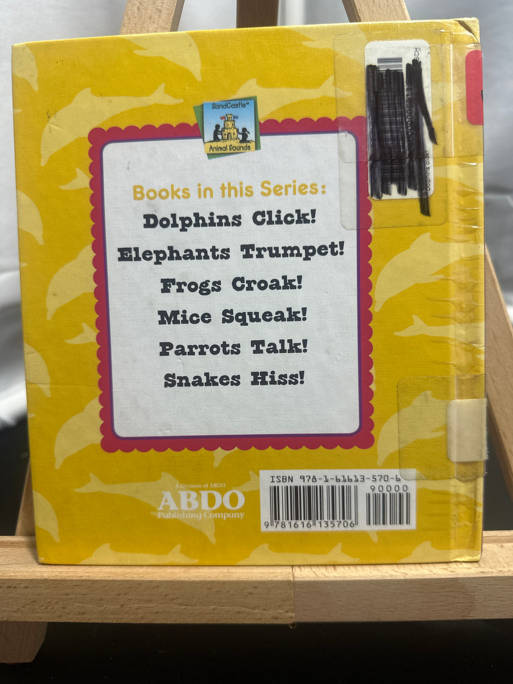 Dolphins click! by Pam Scheunemann Hardcover