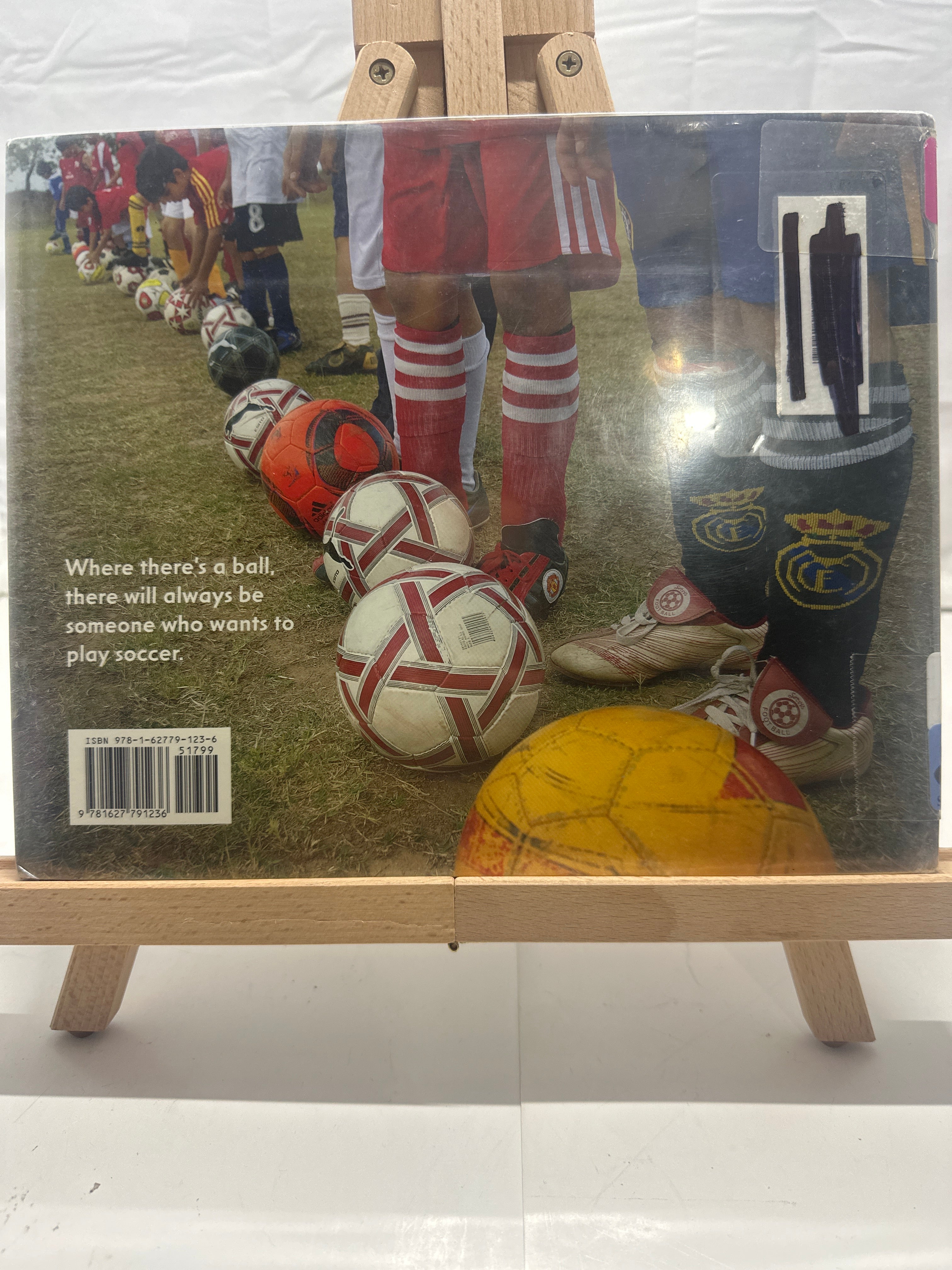 Goal! by Sean Taylor Hardcover
