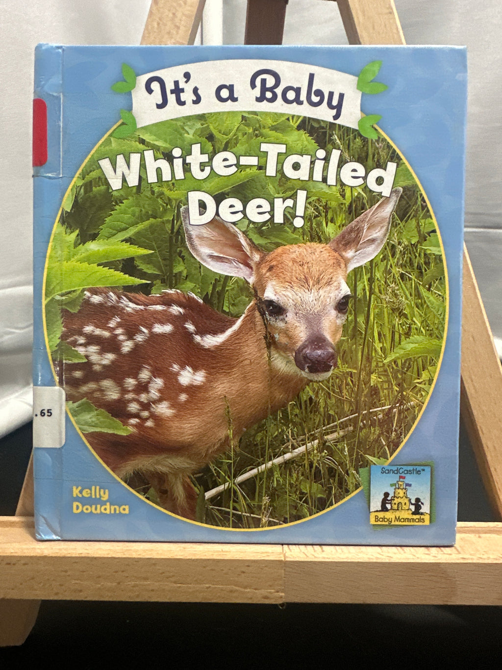 It's a Baby White-Tailed Deer! (Baby Mammals) by Kelly Doudna Hardcover