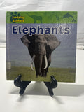 Elephants by Sarah Albee Hardcover Children's Book