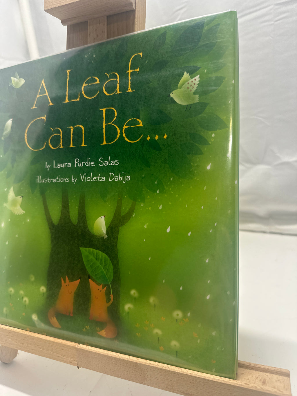 A Leaf Can Be . . . by Laura Purdie Salas Hardcover