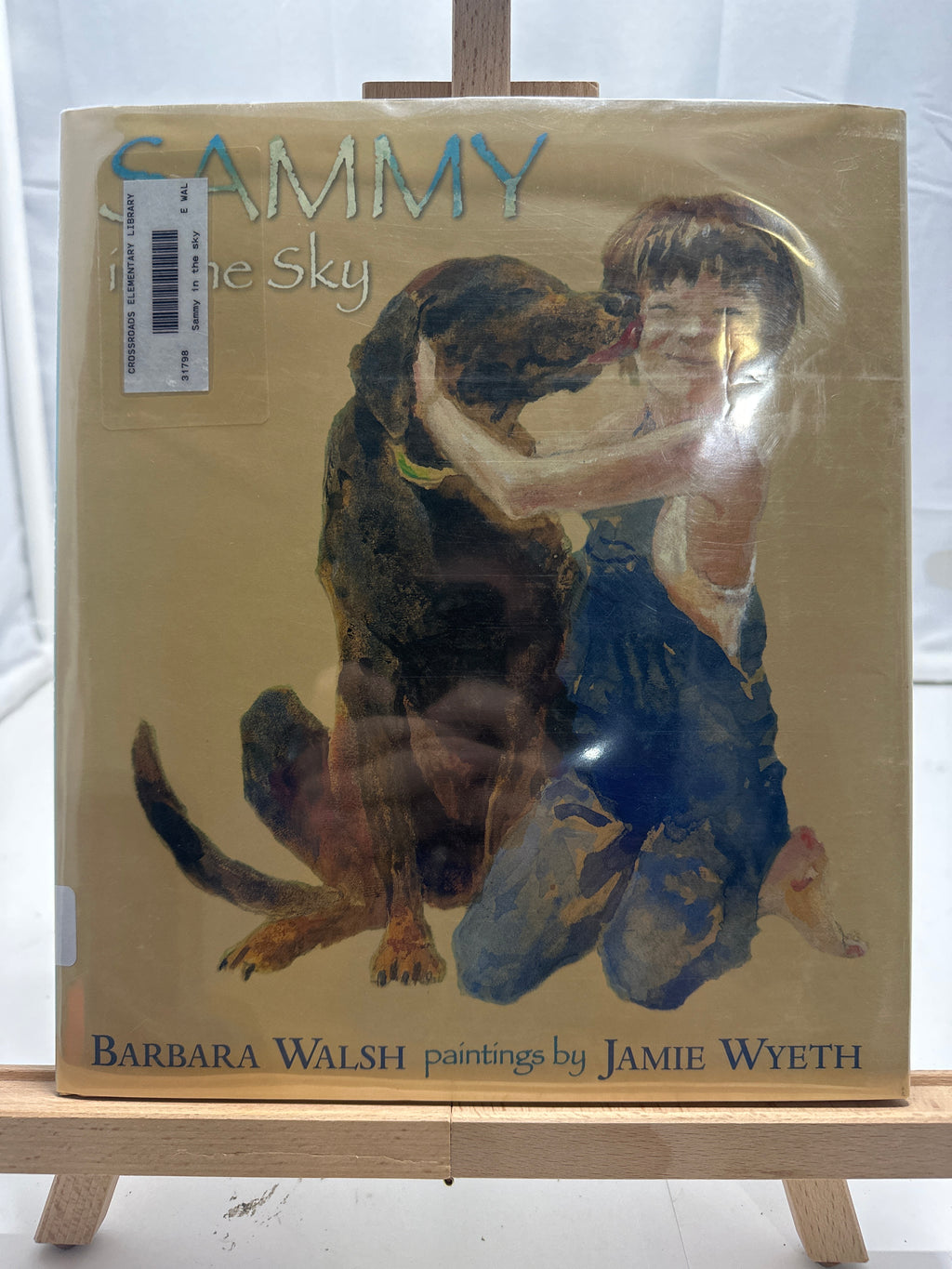 Sammy in the Sky by Barbara Ann Walsh Hardcover
