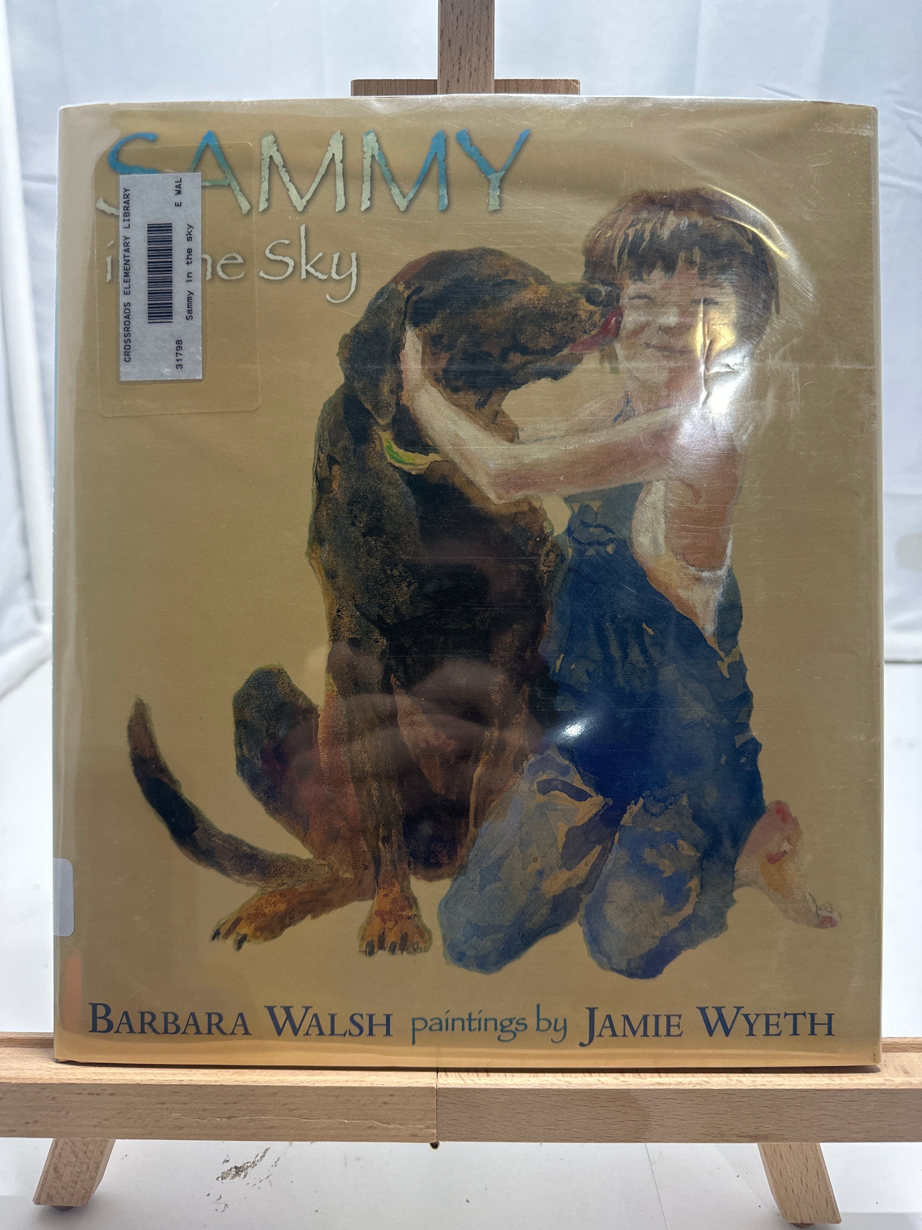 Sammy in the Sky by Barbara Ann Walsh Hardcover