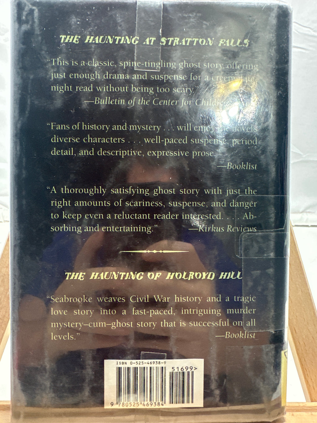 The Haunting of Swain's Fancy by Brenda Seabrooke Hardcover