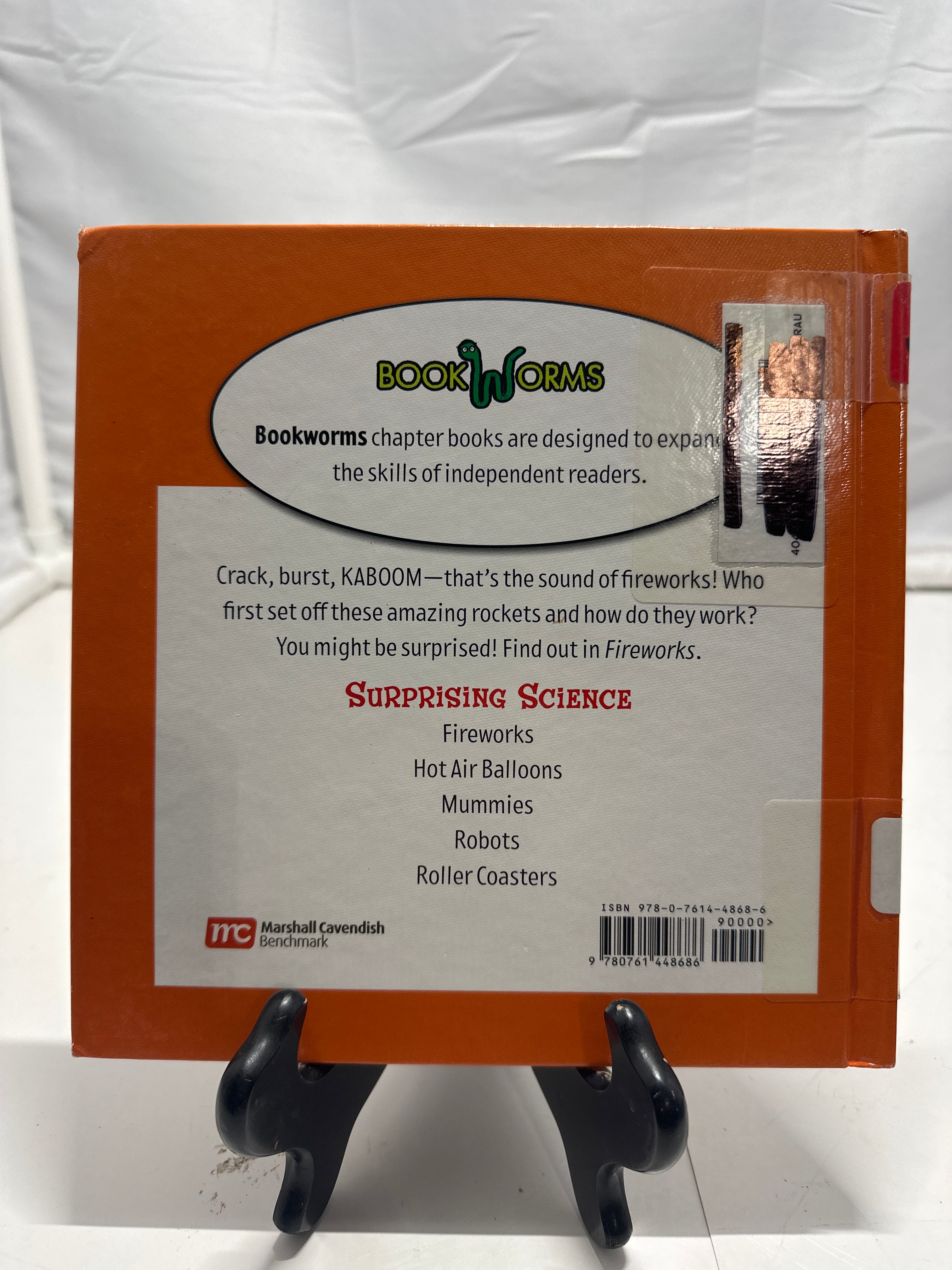 Fireworks by Dana Meaghan Ray Hardcover Children