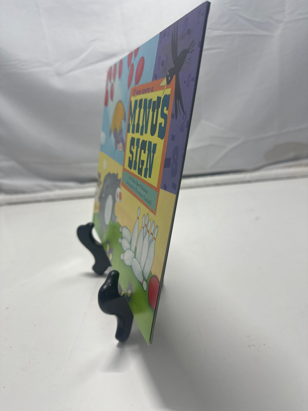 If You Were A Minus Sign Paperback
