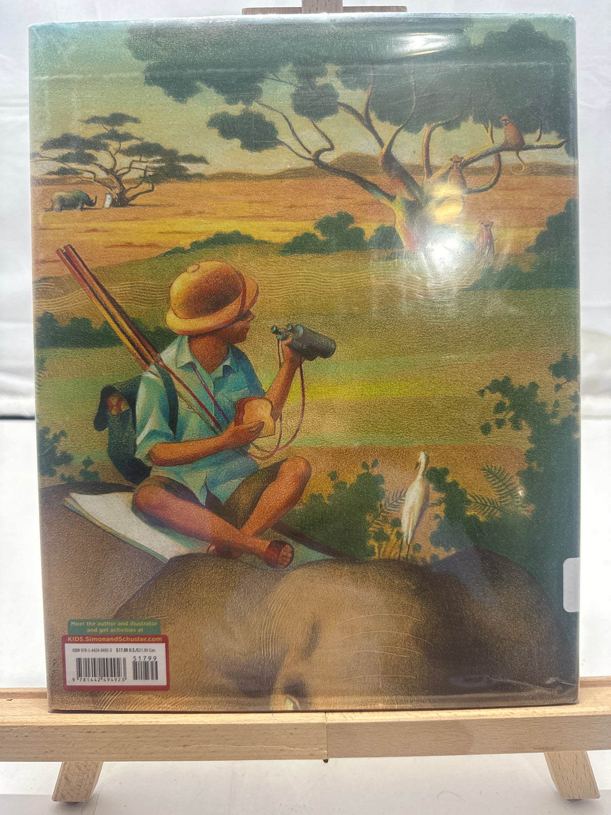 Draw! by Raúl Colón Hardcover
