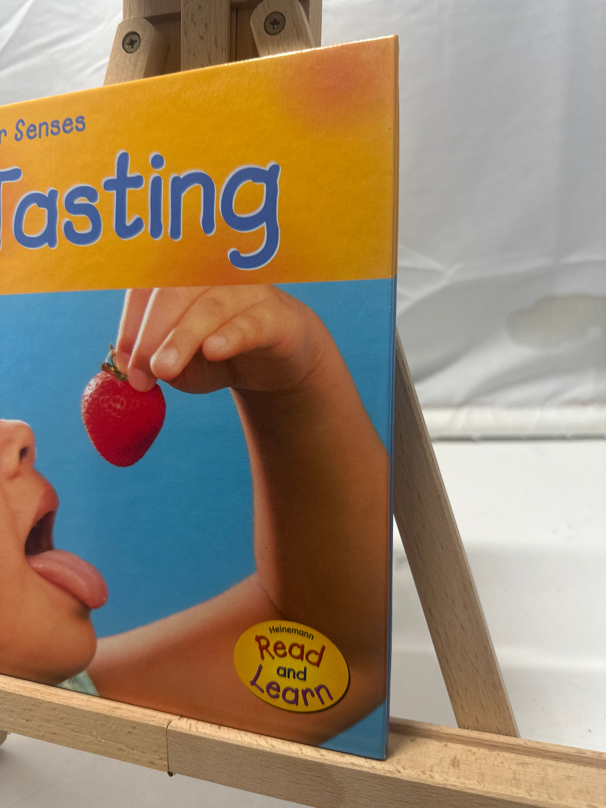 Tasting by Mary Mackill Hardcover