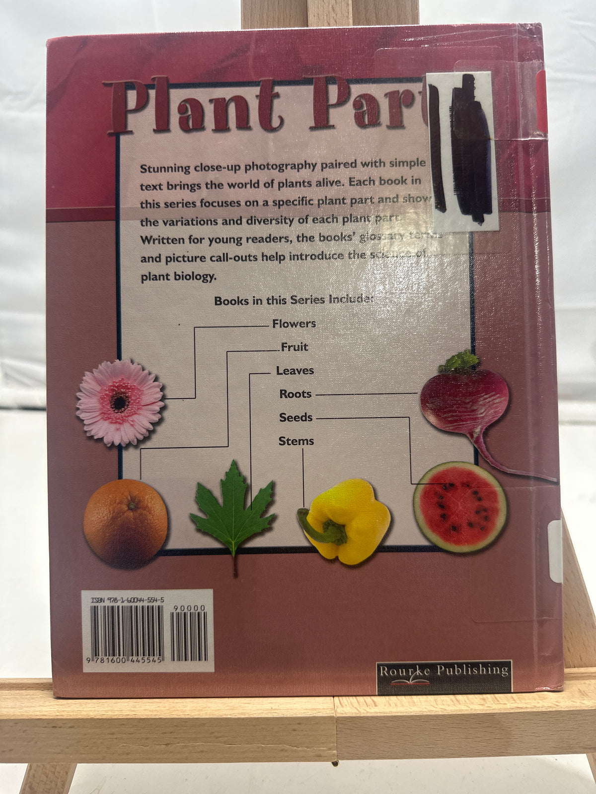 Roots by Lynn Stone Hardcover