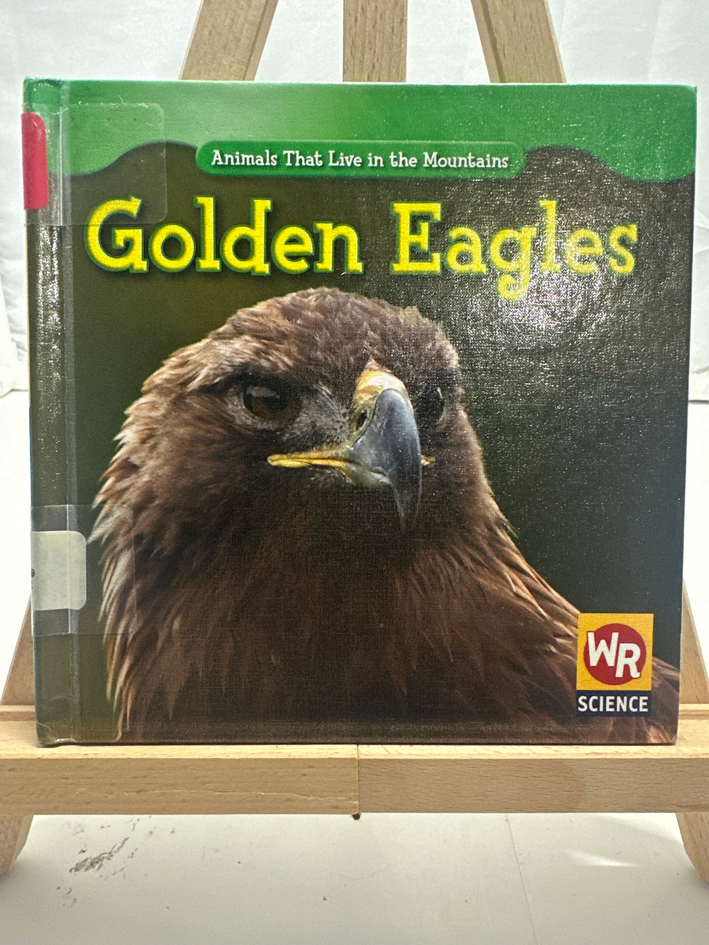 Golden eagles by JoAnn Early Macken Hardcover Children's Book