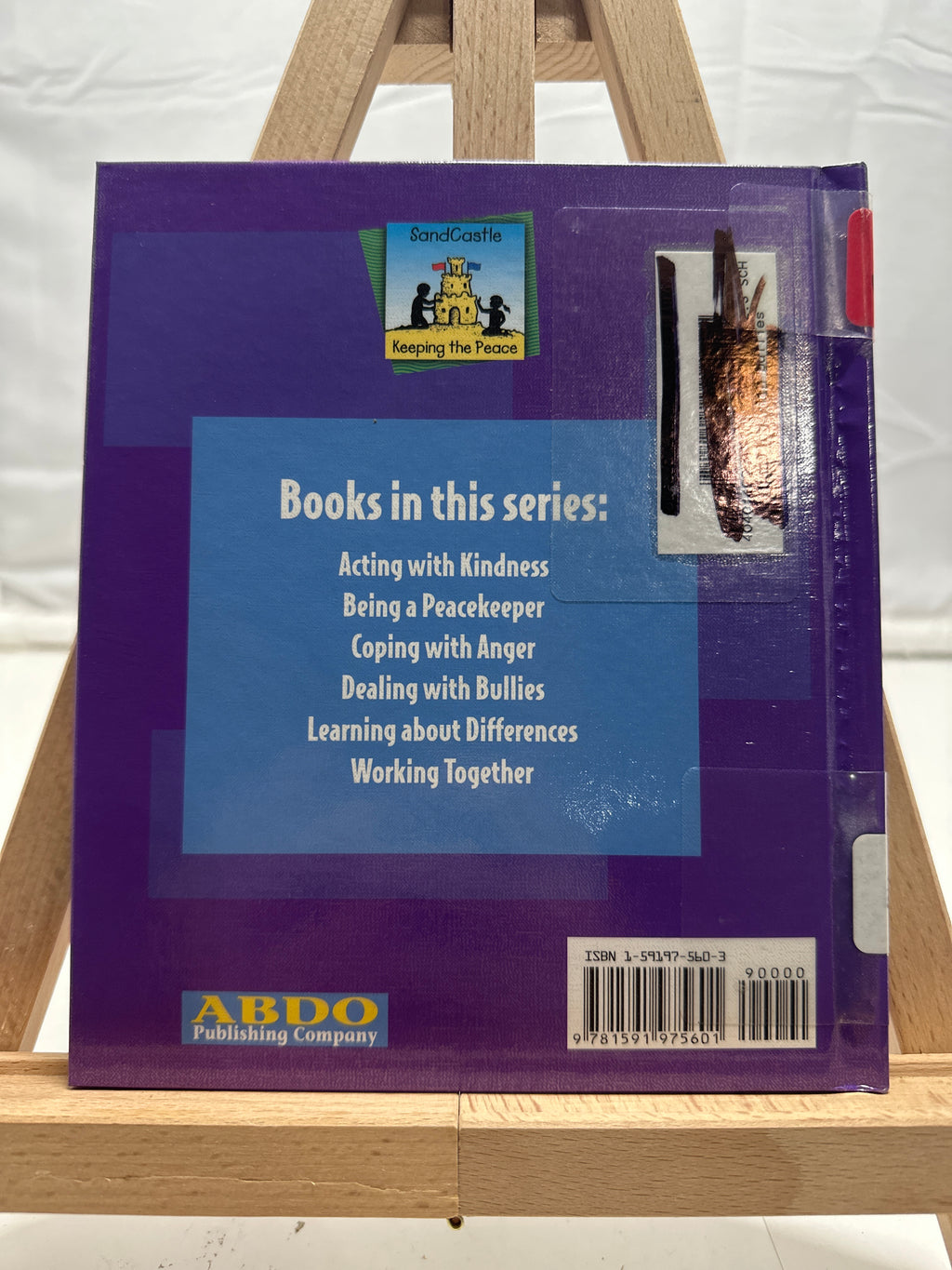 Dealing with Bullies by Pam Scheunemann Hardcover