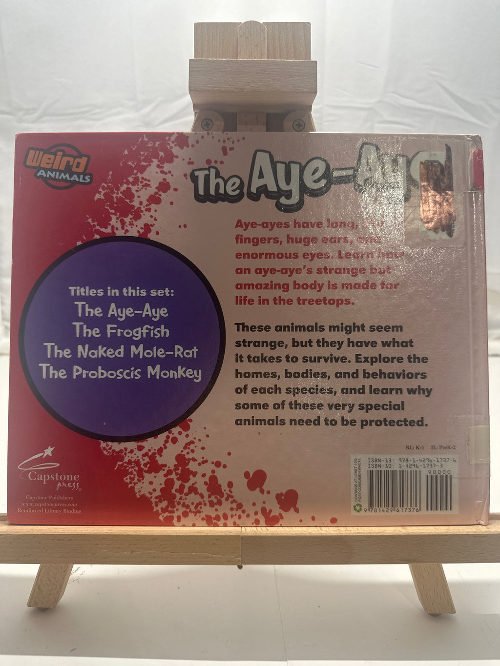 The Aye-Aye by Jody Sullivan Rake Hardcover