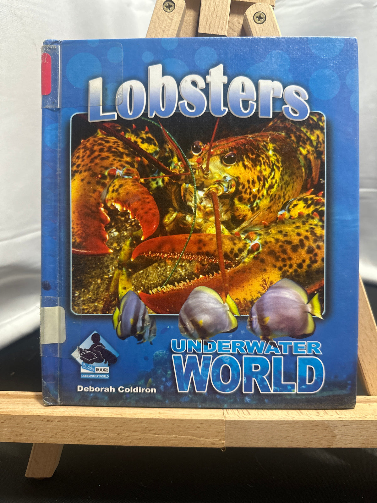 Lobsters by Deborah Coldiron Hardcover Children's Book