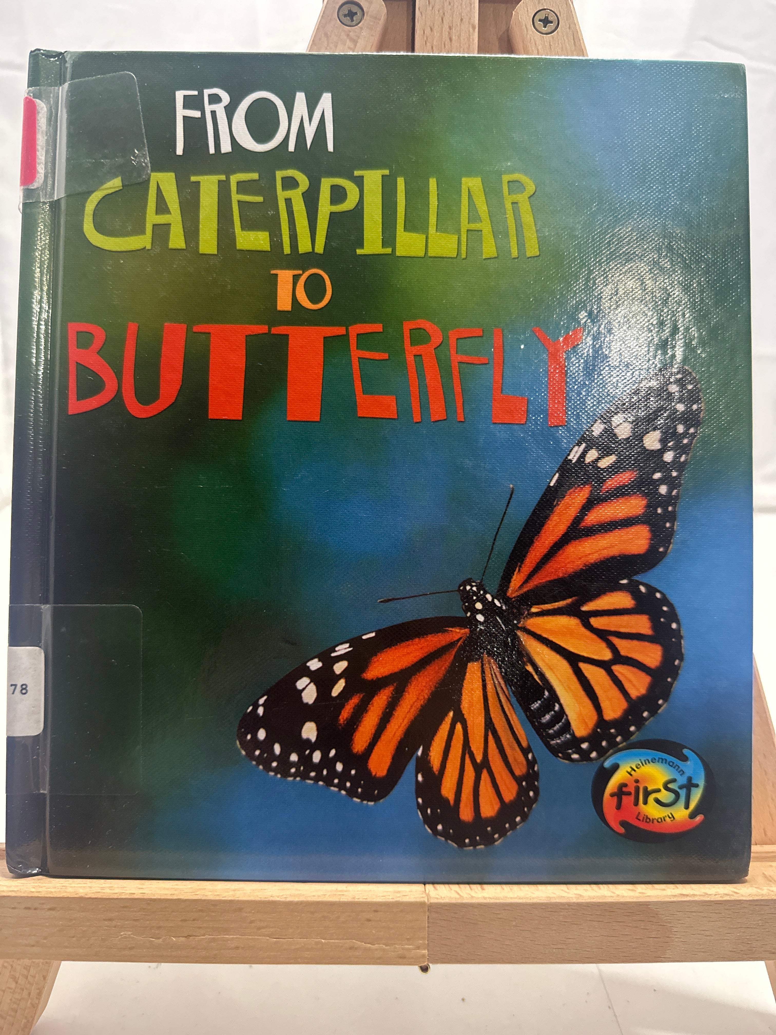 From Caterpillar to Butterfly by Anita Ganeri Hardcover