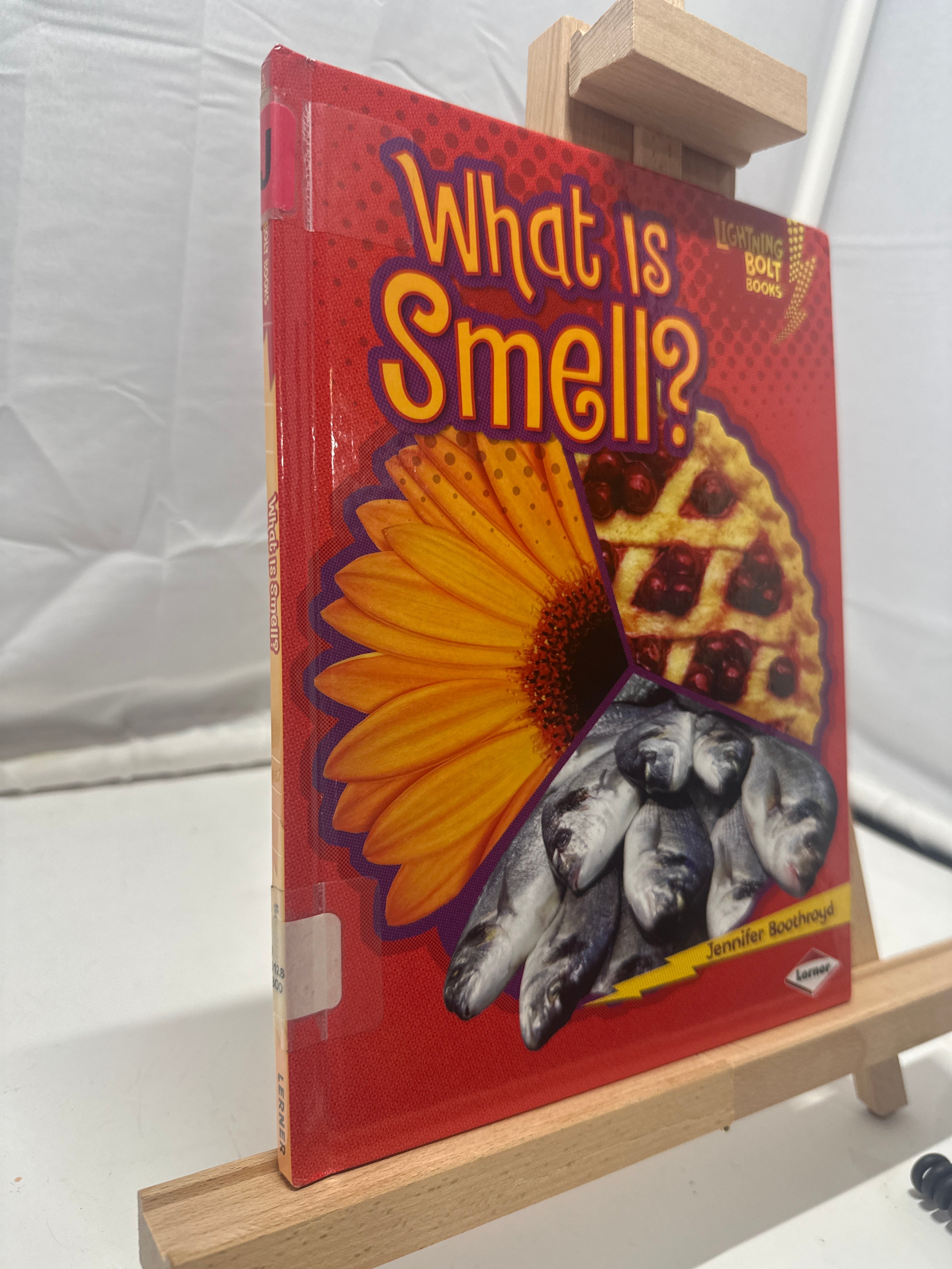 What is Smell? by Jennifer Boothroyd Hardcover Children's Book